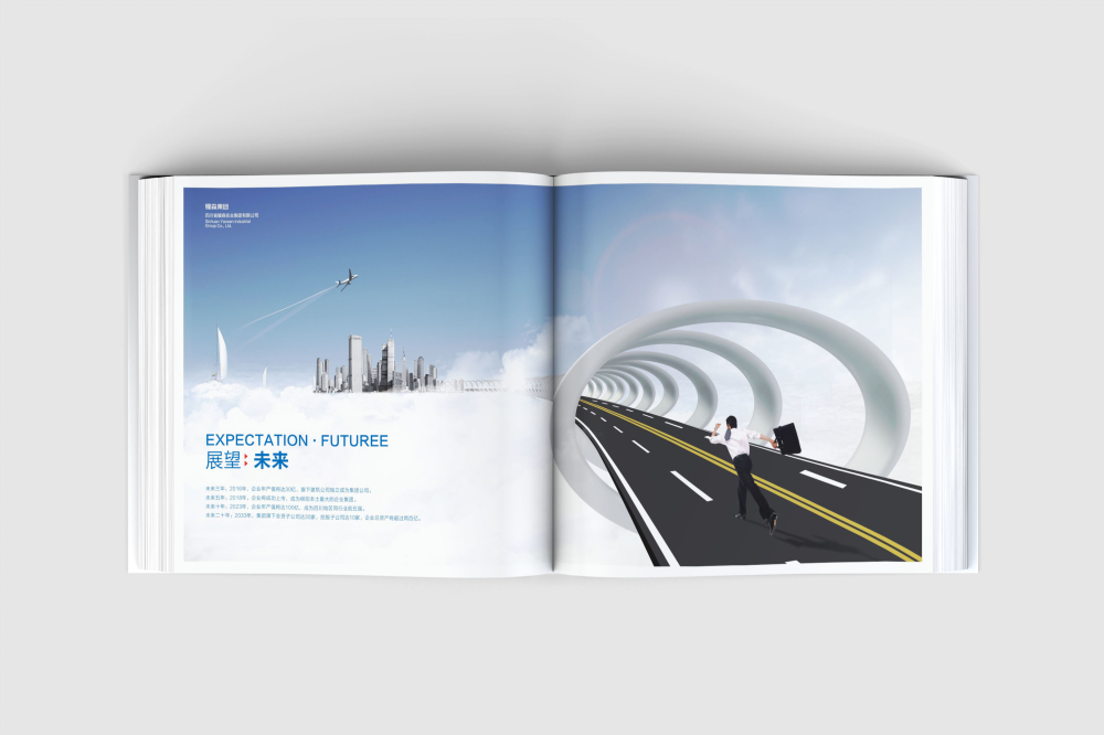 思明区画册设计